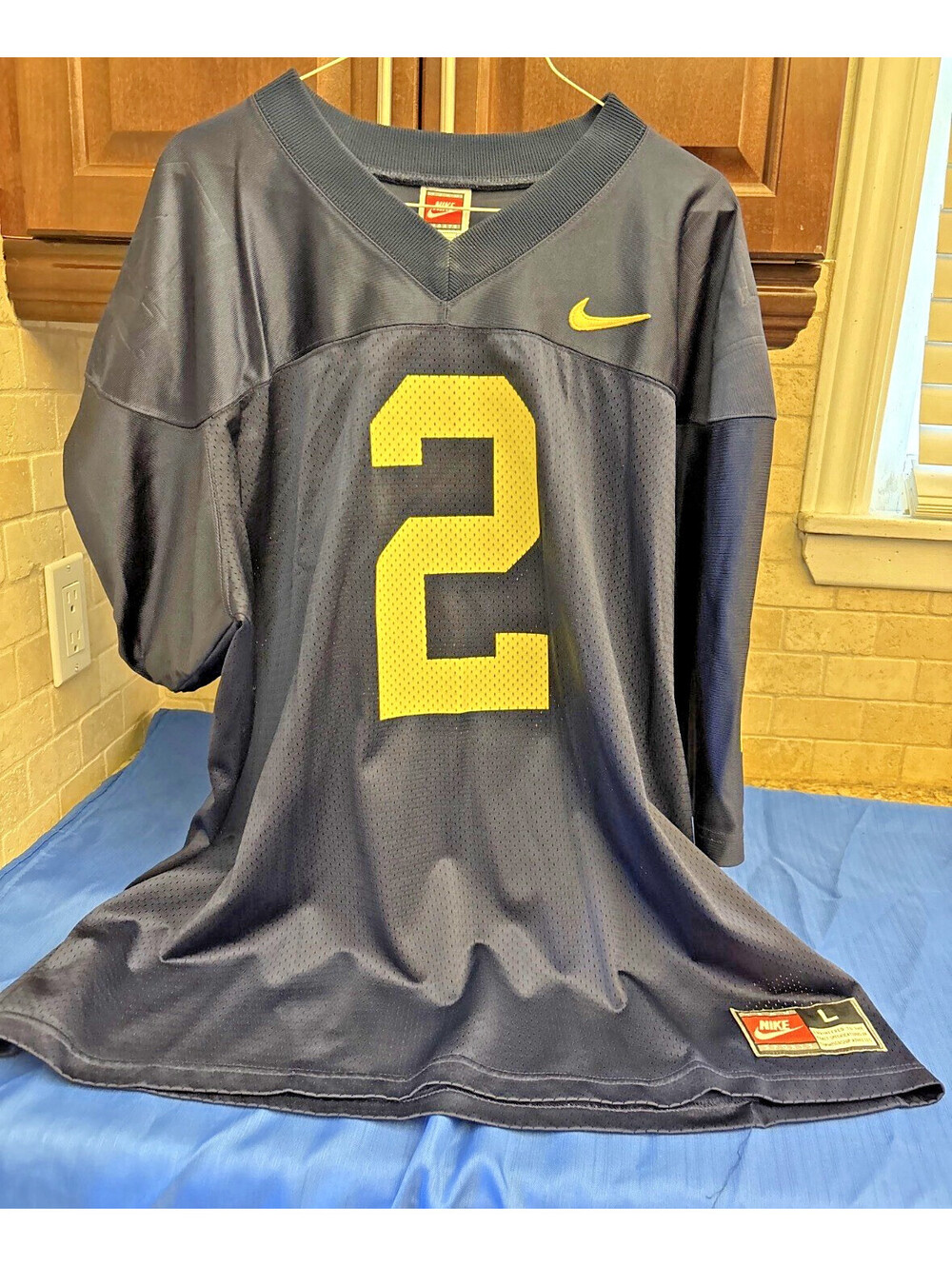VTG 90s Nike Michigan Wolverines Charles Woodson #2 Football Jersey Large USA